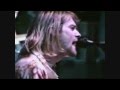 NIRVANA Son Of a Gun (clip)