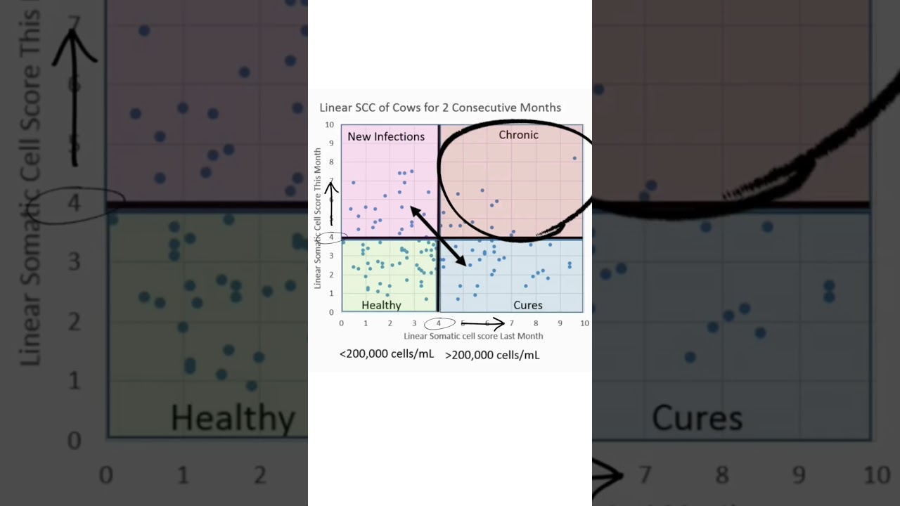 Characteristics of environmental mastitis  