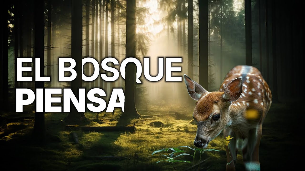 Los Secretos del Bosque | Adaptaciones Sorprendentes