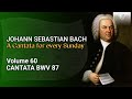 J.S. Bach: The Church Cantatas, Vol. 60: Bisher habt ihr nichts gebeten in meinem Namen, BWV 87