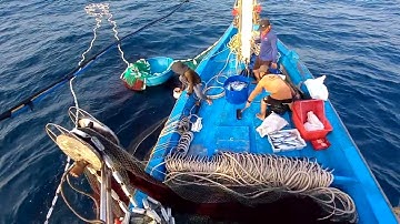 lưới vây ngày cá ngừ tàu Quảng Nam QNA 01118 TS