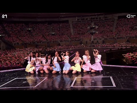 다시 태어나도 소시를 사랑할게