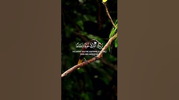 قران كريم الفضائيه #قرآن #قرآن_كريم #quran # #holyquran #القرآن #تلاوة_خاشعة #اكسبلور #القرآن