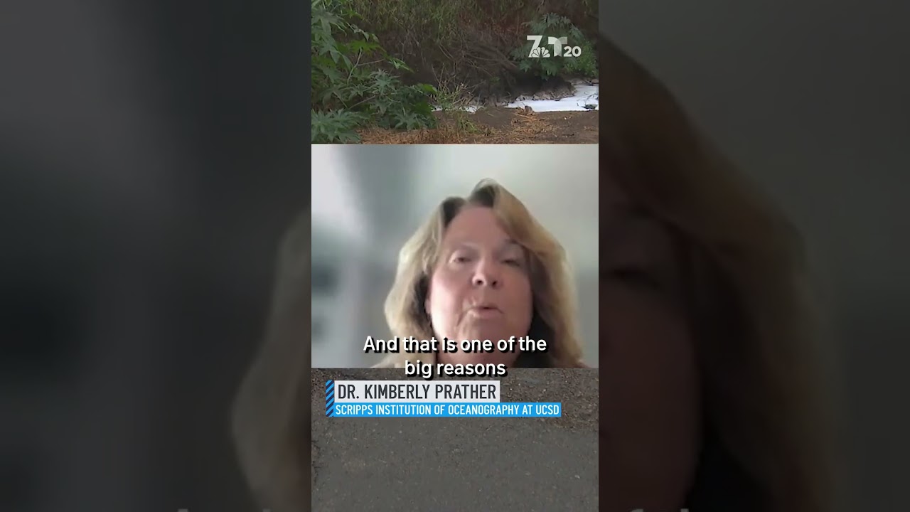 Toxic sewer gases pollute South Bay at levels 70 times state regulations, study finds | NBC 7