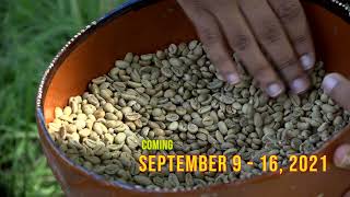Introduction to Ethiopian Coffee Ceremony: Coming September 9-16