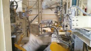 Azano Valve Bagger Abb Robot Placer