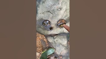 Traditional gold mining, a lot of people have found gold in pits like this#goldrush #goldmining