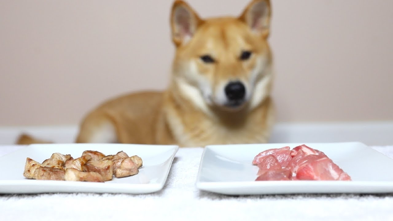 Do Dogs Like Cooked Or Raw Meat