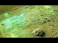 NASA's Perseverance Rover Captured Mysterious Greenish Lights On Mars In 4K