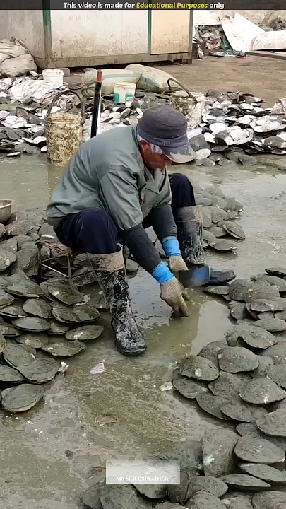 How Vietnamese Oyster Farmers Make Thousands with PEARLS! 💰🦪