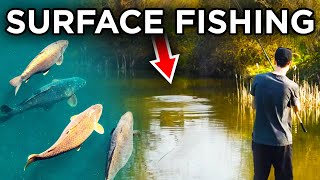 Surface Fishing For Carp  Made Easy! (I caught loads!)