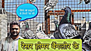 Racer Homer Pigeons at Banglore Of Mr Yousuf By Bhopal Pigeons #racingpigeon