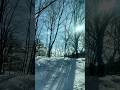 もう春が来てるけど、冬ありがとうございました！今年も雪が見れて良かったです。バスは街の中や森の中、細い道も通ったりするから電車や新幹線とは違った景色が見れておもしろいな　　群馬→長野→東京ルートのバス