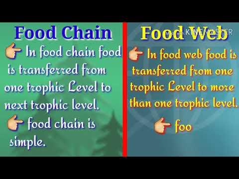 Difference between Food Chain and Food Web in Hindi & English.
