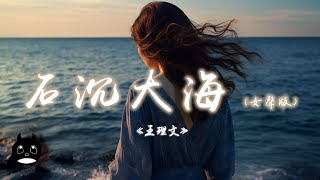 王理文 - 石沉大海 (女聲版)『可後來我才明白有的人永遠也回不來，靠著回憶也能去愛。』【動態歌詞 | Pinyin Lyrics】【PENGUIN MUSIC】