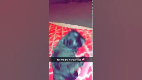 lucky and lunas first steps