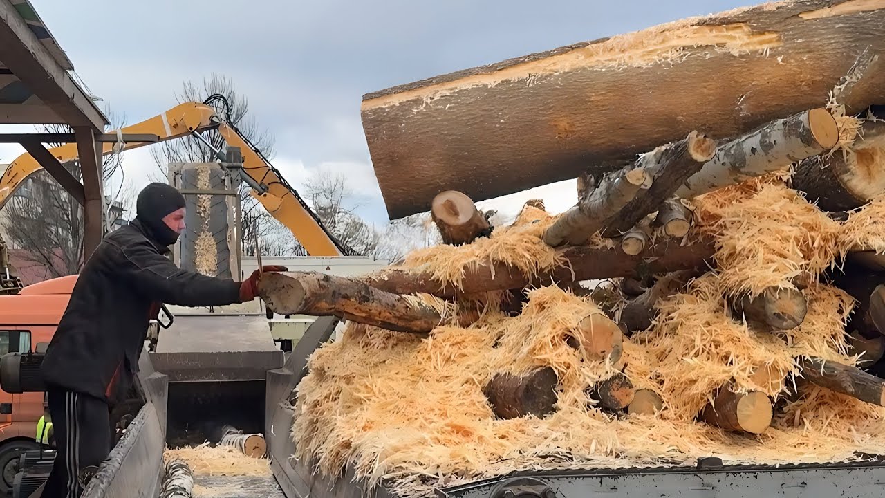 NEVER SEEN — Logs Falling the Wrong Way.