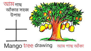 how to draw a mango tree l tree drawing colour l how to draw mango tree l mango tree drawing
