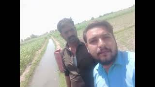 Aerial spraying against borers & sucking pests at circle Manthar under sup.of F.M.Azhar Majeed #pest