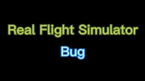 Real Flight Simulator bug | Real Flight Simulator