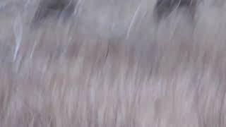 DSCN4791
