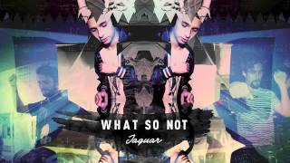 Video thumbnail of "What So Not - Jaguar"