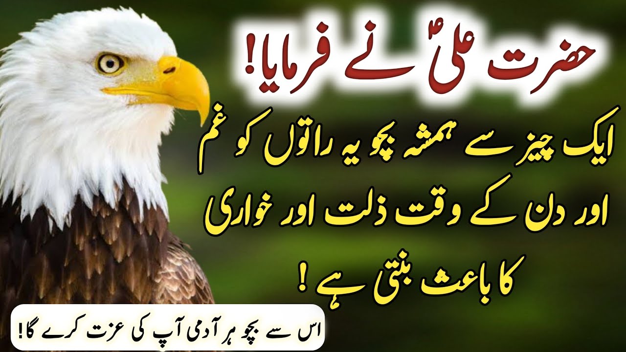 Hazrat Ali a s Heart Touching Quotes In Urdu Part 9  Hazrat Ali Ke Aqwal  Hazrat Ali   Mehrban Ali