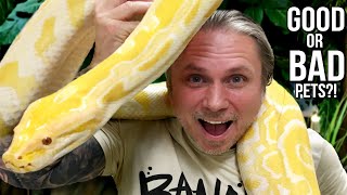 Burmese Python.. GOOD Pet or BAD Pet?? | BRIAN BARCZYK