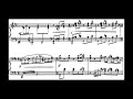 Ravel Miroirs IV: "Alborada del gracioso" (Liu)