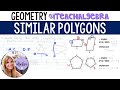 Understanding Similar Polygons