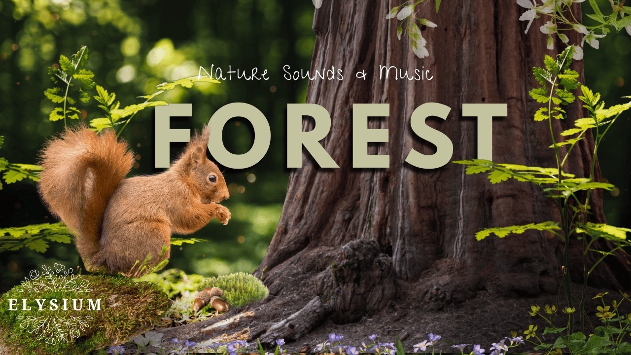 Relaxing Forest Waterfalls, Birds Chirping, Wildlife & Cascading Water for Sleep & Meditation in 4K