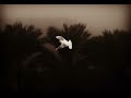 لافتى إلا علي ..لاسيف إلا فاطمة 🕊