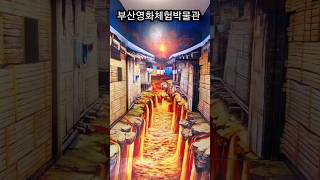 부산박물관 카페테리아 영상