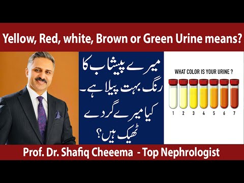 What Does Color Of Your Urine Means | Explained By The Best Nephrologist