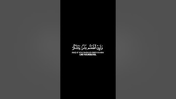 سورة المؤمنون الآية: 34-40 | الشيخ ياسر الدوسري حفظه الله #قرآن #قران_كريم #اكسبلور #ياسر_الدوسري