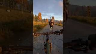 DayZ Funniest Mods: Skateboards, Bikes, Golf Carts #gaming  #dayzgamers