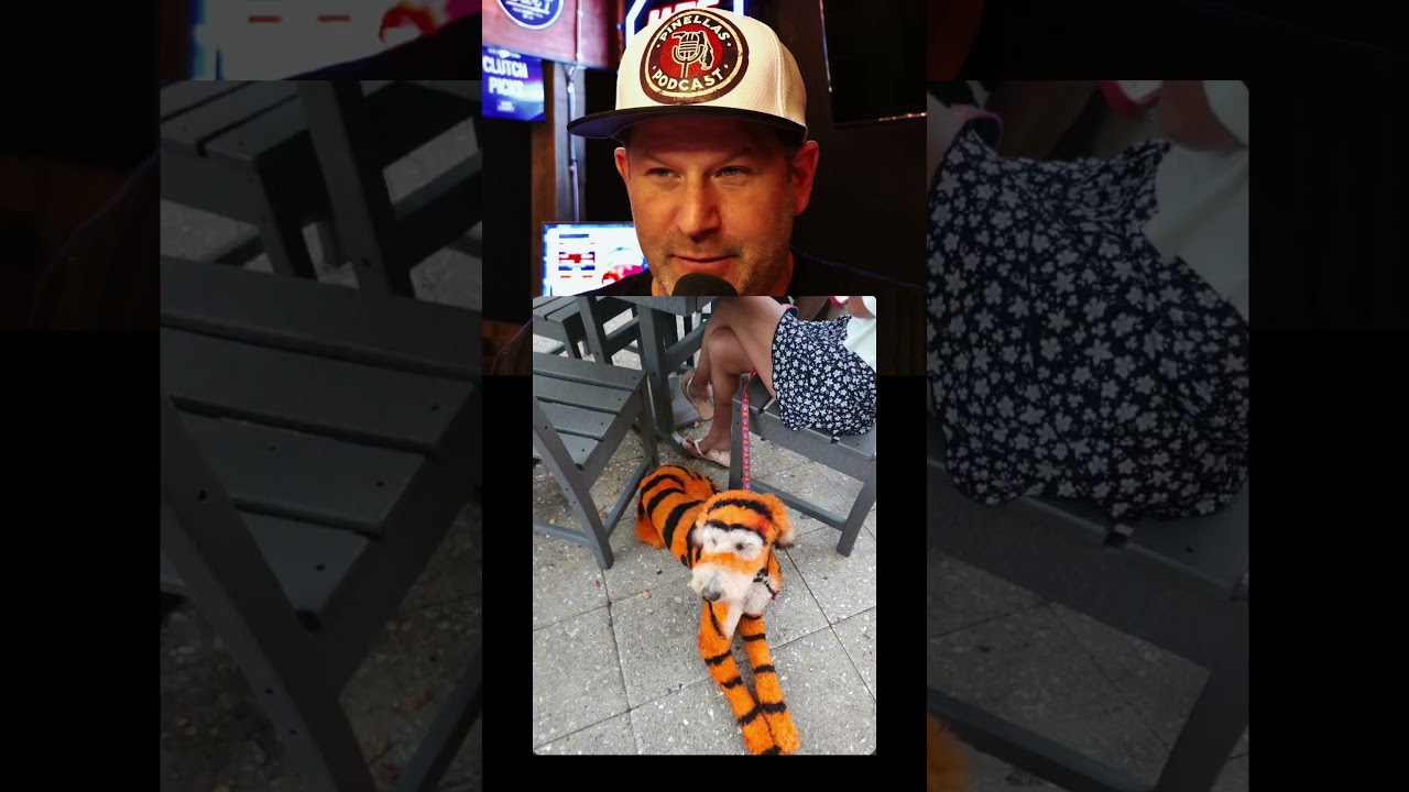 Tigger Dog? Big Bounce Energy Meets Pinellas Beach Life