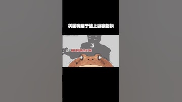 美国瘾君子迷上舔癞蛤蟆？蛤蟆被活活舔死，几乎绝种？#抖音科普  #禁毒  #蟾蜍