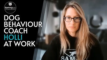 How to build relationship with dog | Improving your relationship with your dog