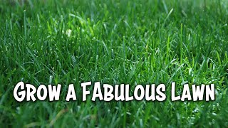 A Fabulous Lawn in 5 Easy Steps