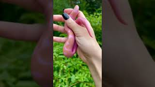 pink bubblegum ball python Profile