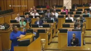 Mam khawula and EFF Ladies Vs DA's Van Damme