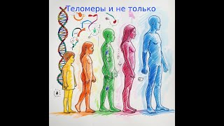 Молекулярная биология. Теломеры и не только: Главные причины старения и можно ли его обратить