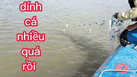 hai vợ chồng đi thả lưới cá đối về ăn cơm cùng gia đình (lê nghĩa cần giờ)