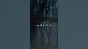 ما تيسر من سوره السجده