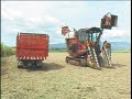 [4K][HD][SD]Lautoka Sugar Cane Famers  Forgotten Girmitiyas - Fiji’s Indentured 2006