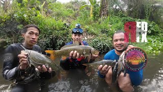 SE04EP109 Part 1 - TATLONG ang LAMAN sa ISANG PULPUGAN! San Pablo CIty, Laguna