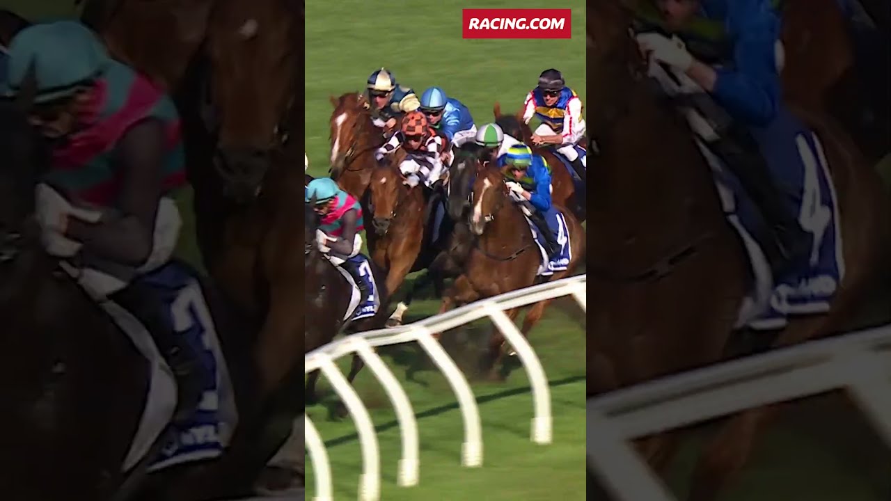 Watch This Jockey S Mid Race Move For The Ages 