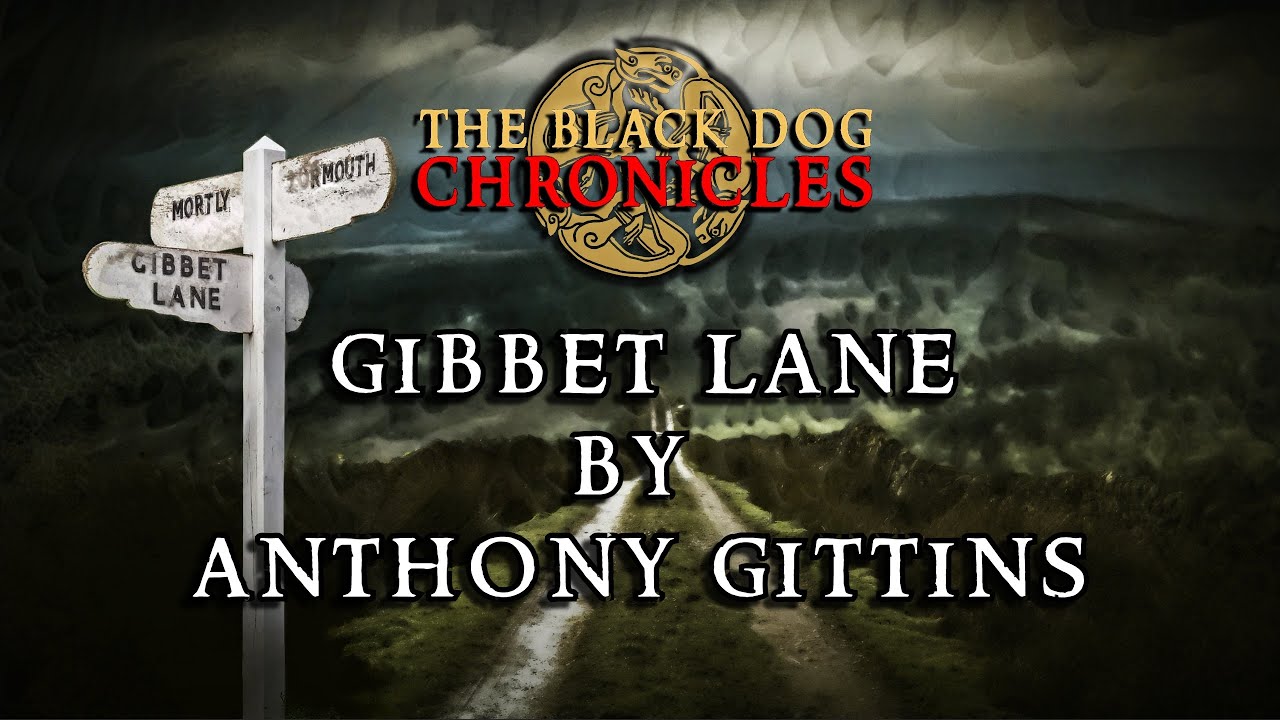 Scary Stories GIBBET LANE by Anthony Gittins YouTube