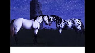 Musikvideo - Royals and Kings [sso] mit viva